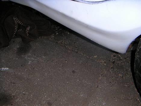 Kreidler          Easy Rider  - fed syndes jeg. med hvid bund skjold billede 1