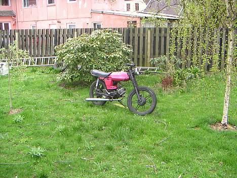 Puch       monza 3g SAVNET :'( - her står hun så flot og venter på og blive hentet billede 12