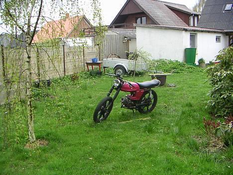 Puch       monza 3g SAVNET :'( - her er den meget pæn og fed¨på det billeder her.. billede 14