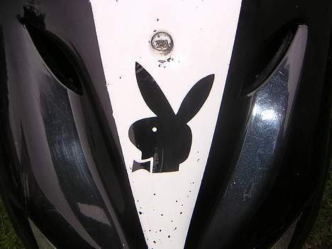 CPI            popcorn - ja så kom mit playboy mærke på billede 11