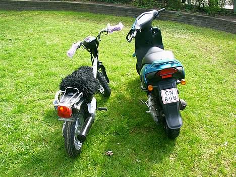 Suzuki fz50 solgt for 700kr billede 13