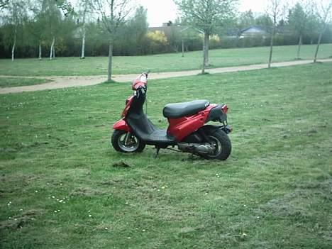 PGO hot 50 //  billede 11