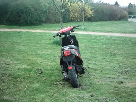 PGO hot 50 //  billede 12