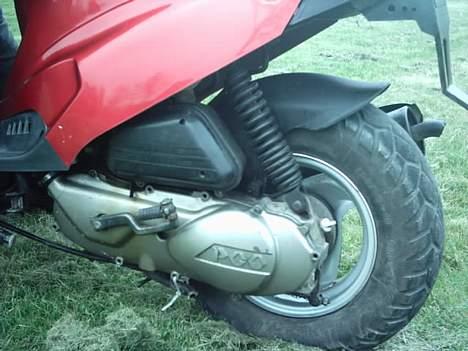 PGO hot 50 //  billede 15