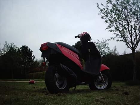 PGO hot 50 //  billede 16