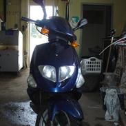 PGO Dr . Big -SOLGT-