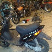 Gilera Stalker [SOLGT]