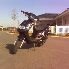 TGB Pegasus 101R