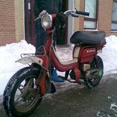 Suzuki Fz50 <(SOLGT)>