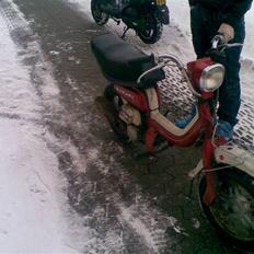 Suzuki Fz50 <(SOLGT)>