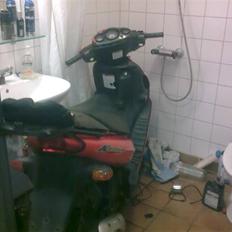 Suzuki katana slogt 