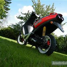 Aprilia SR 50 LC byttet 