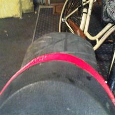 MiniBike Fed model..