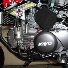 Kayo CRF-H NR. 62