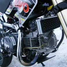 Kayo pro model minimotard