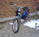 Puch maxi dovndyret