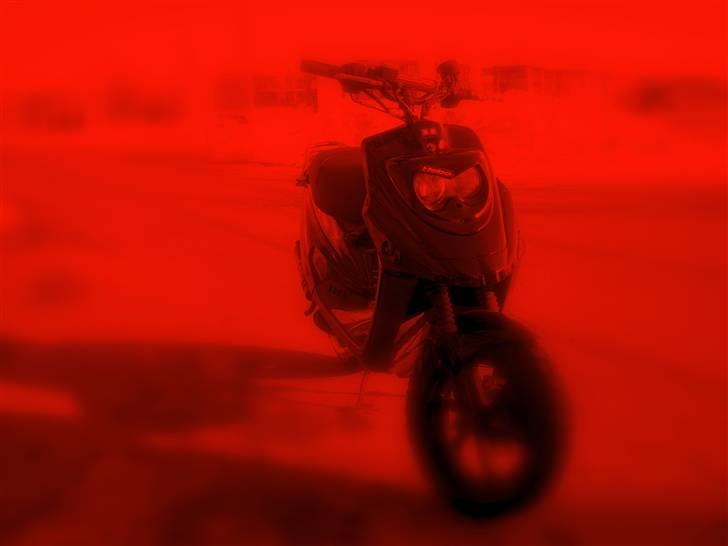 PGO Hot 50  14,4HK billede 1