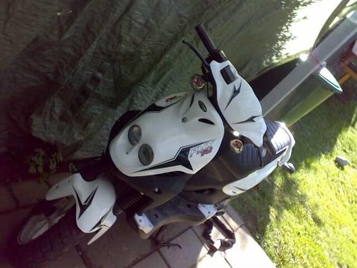 PGO pmx sport billede 1