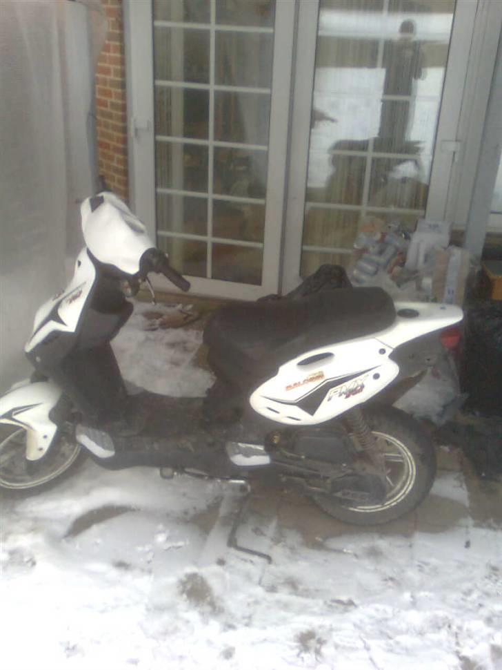 PGO pmx sport billede 3