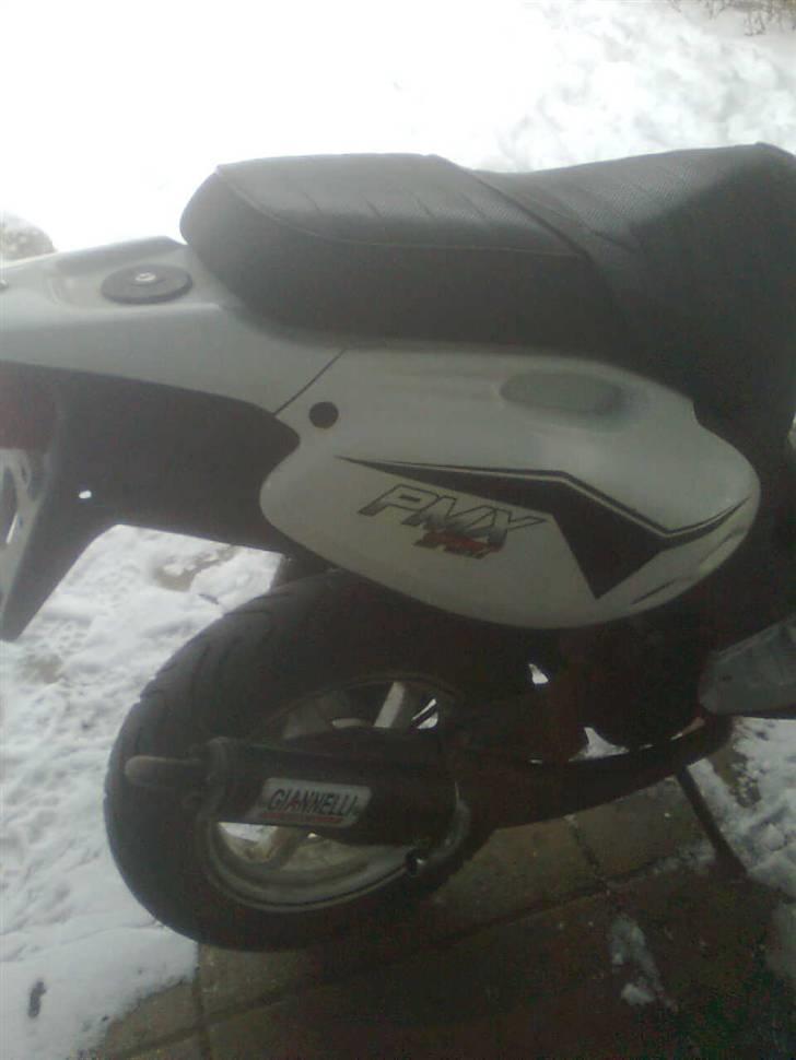 PGO pmx sport billede 4