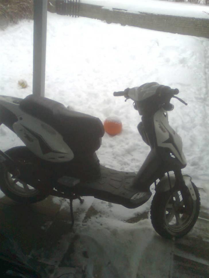 PGO pmx sport billede 5