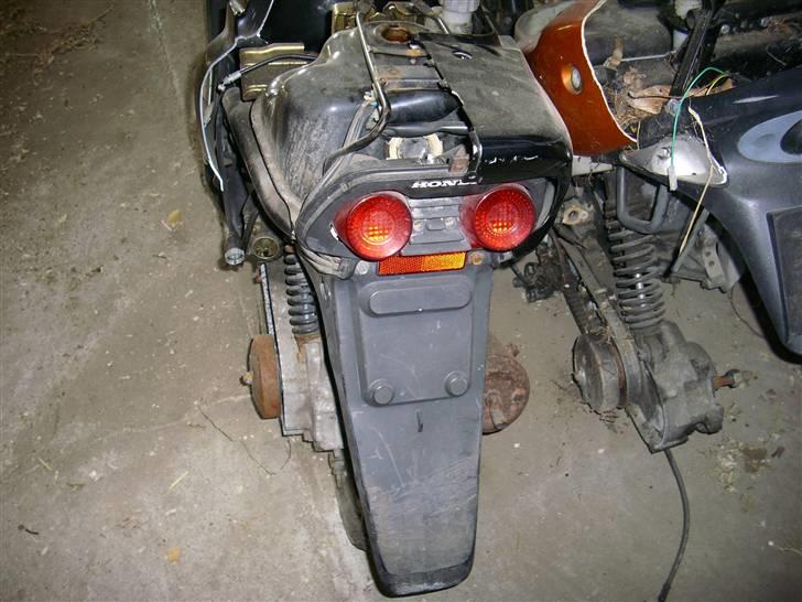 Honda SFX - baglygten er heldigvis intakt billede 4