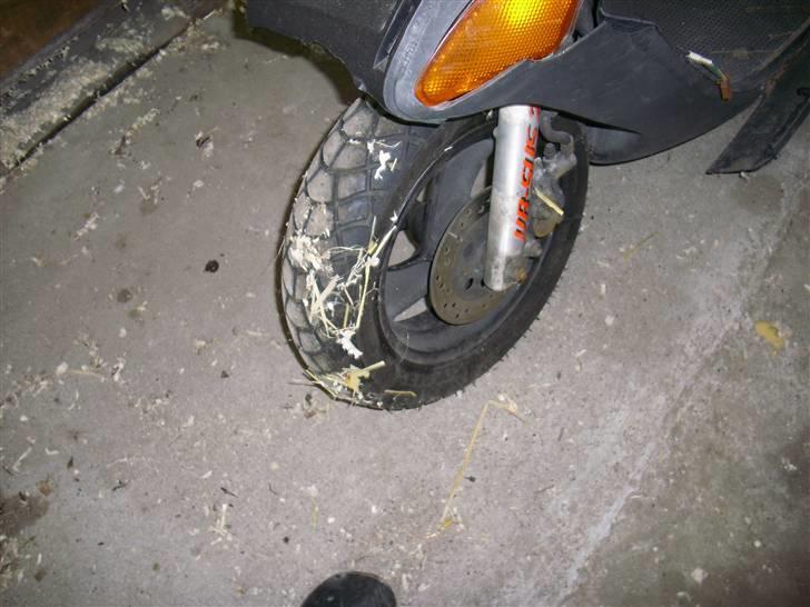 Honda SFX - mangler vist noget af skjollet billede 7