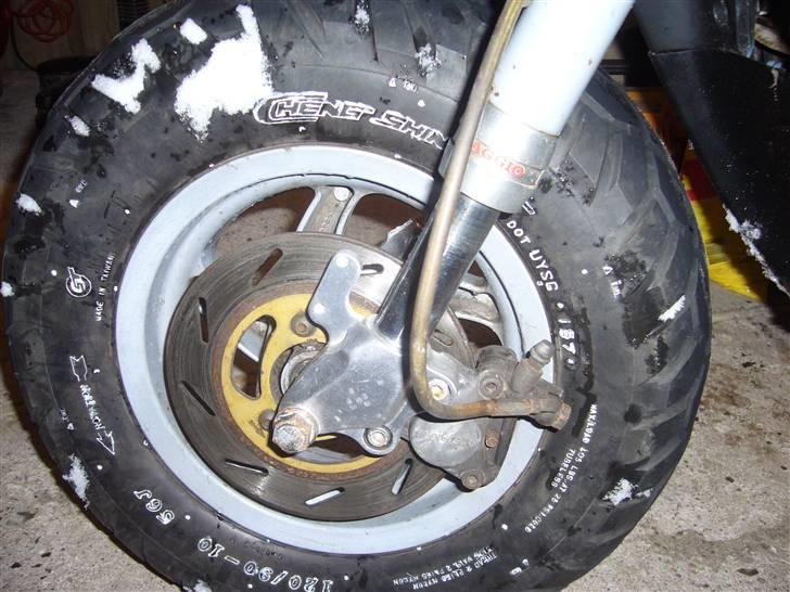 Piaggio Typhoon (Cannabis) -SOLGT billede 2