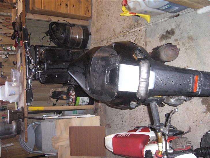 Piaggio Typhoon (Cannabis) -SOLGT billede 3