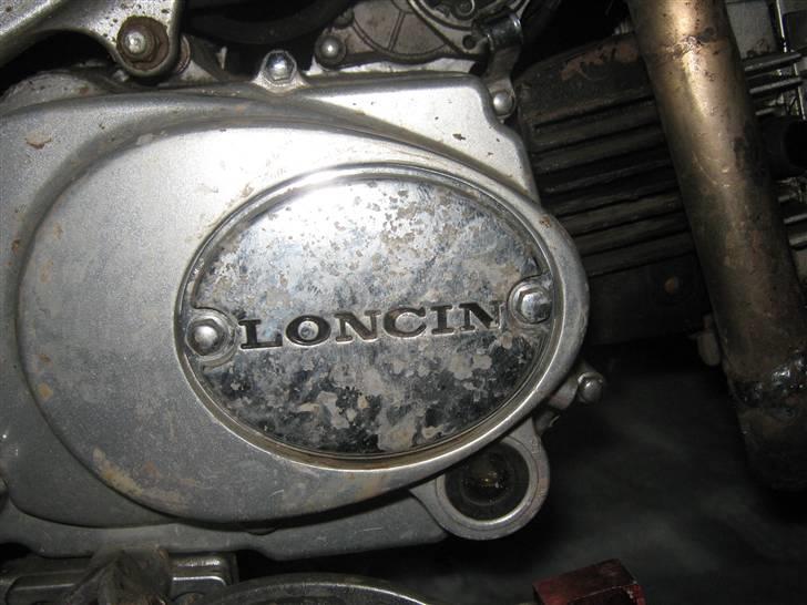 Apollo Orion   e29 byttet billede 4