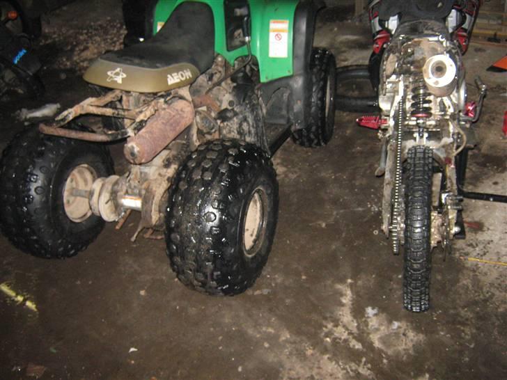 Apollo Orion   e29 byttet billede 11