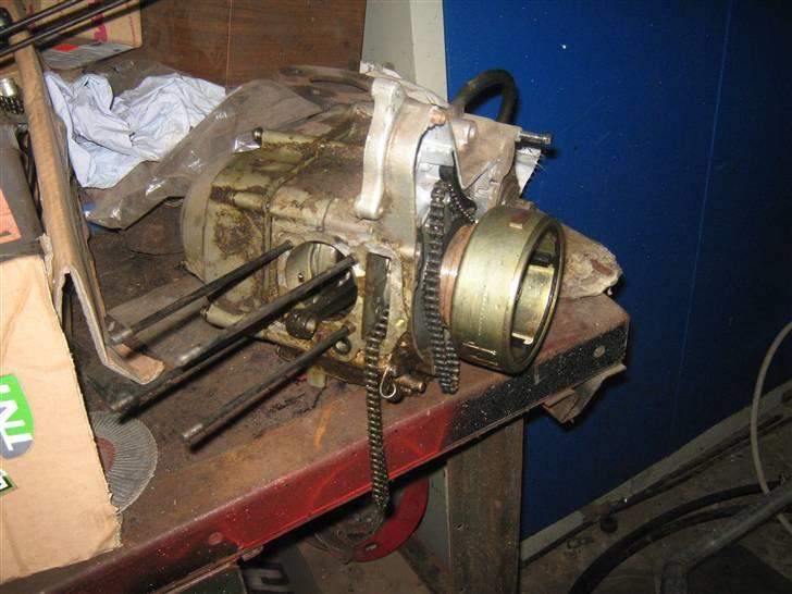 Apollo Orion   e29 byttet billede 15