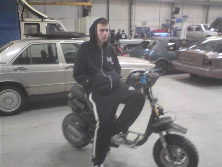 Piaggio typhoon billede 7