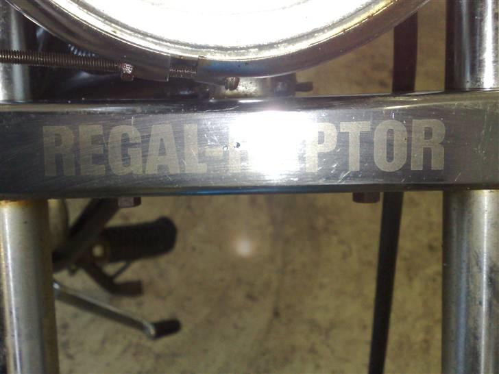 Kinroad regal raptor (solgt) billede 8