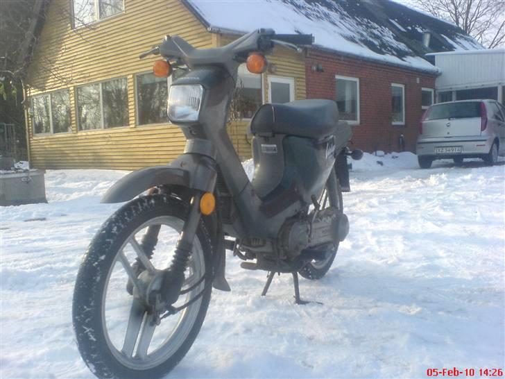 Honda Wallaroo  billede 2