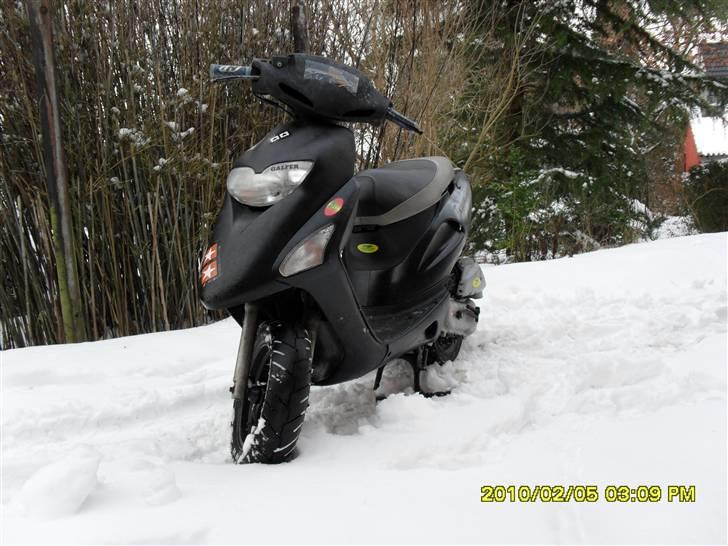 Honda sfx byttet billede 2