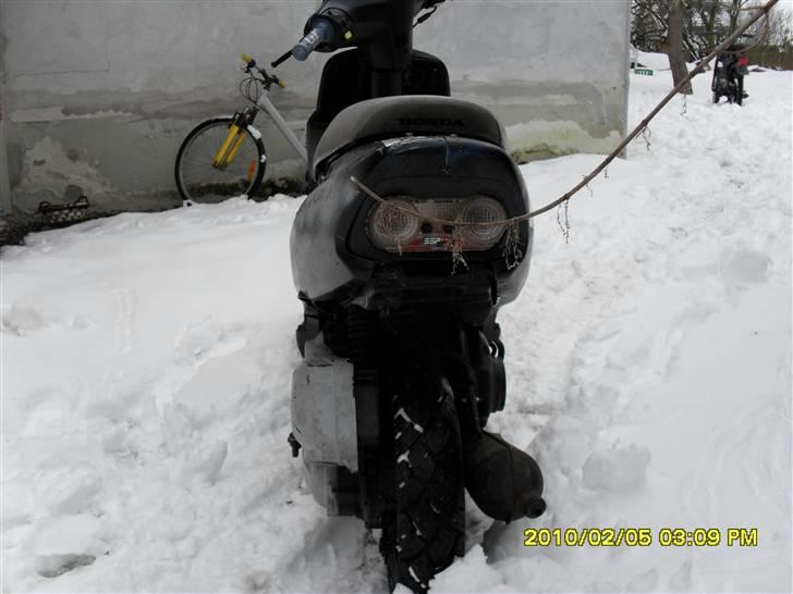 Honda sfx byttet billede 5