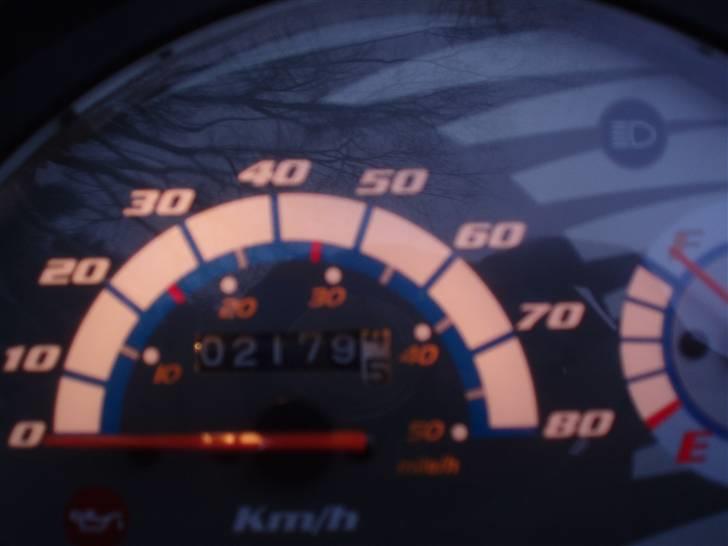 PGO ligero (SOLGT) billede 3