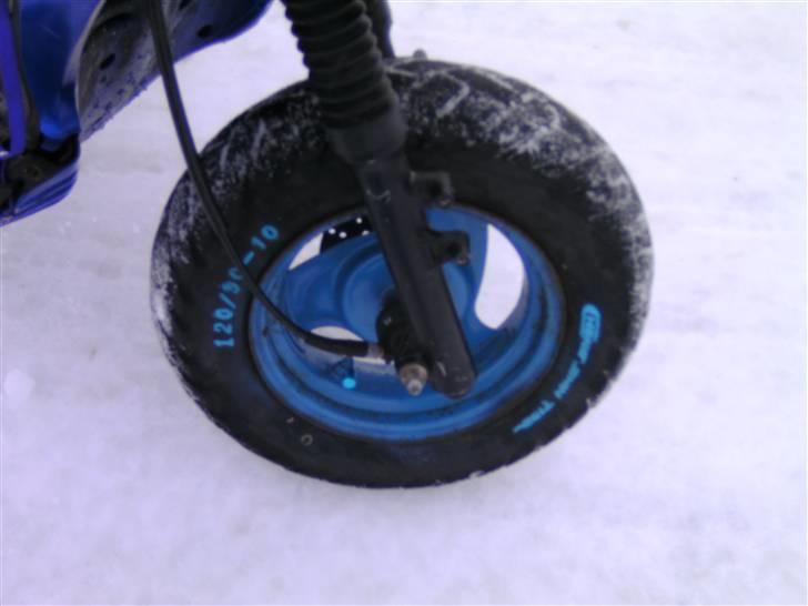 PGO Pmx "SOLGT"  - Blå dækskrift billede 2