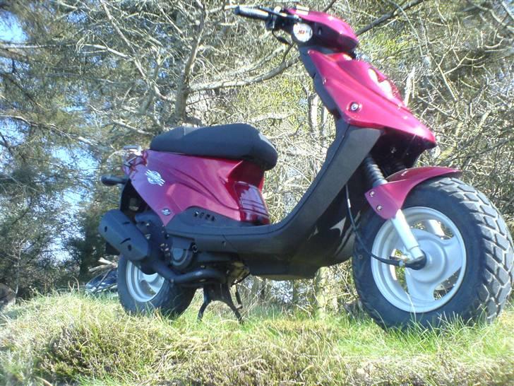 PGO Hot 50 billede 17