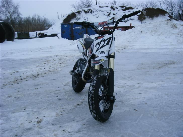 Kayo pro model minimotard billede 14