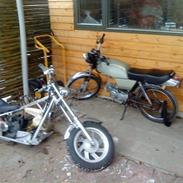 Suzuki dm50