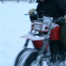 Honda ATC 250SX