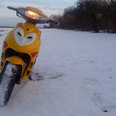 Adly Silverfox ~BYTTET~