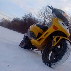 Adly Silverfox ~BYTTET~