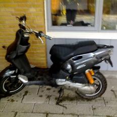 PGO Pmx Naked Carbon 