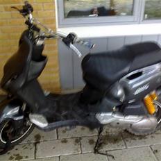 PGO Pmx Naked Carbon 