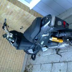 PGO Pmx Naked Carbon 