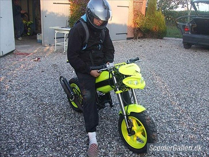 Suzuki Tvilingerne 2010 billede 1