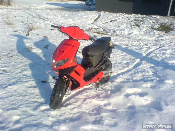 Peugeot speed fight solgt billede 2